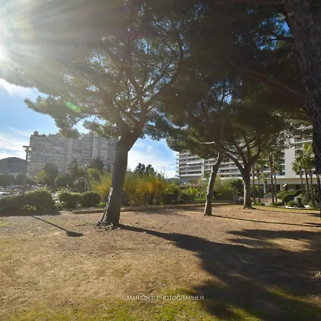 2 étoiles - Sur Le Port - Cannes Marina *